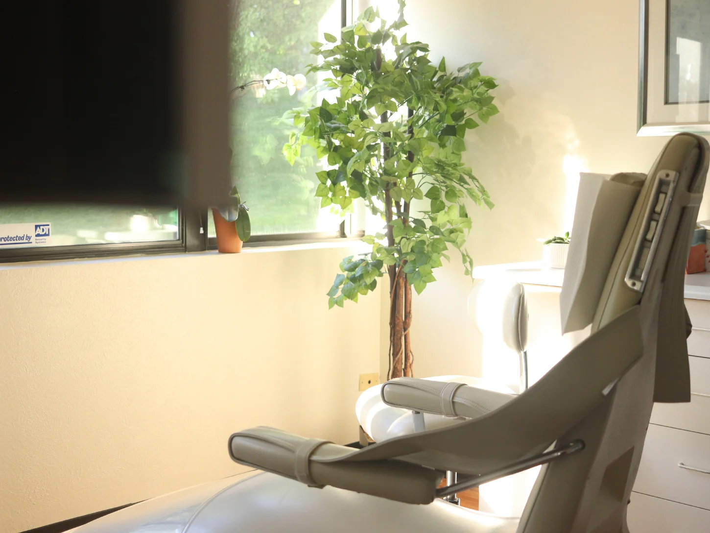 Welcome to Littleton Dental Collective